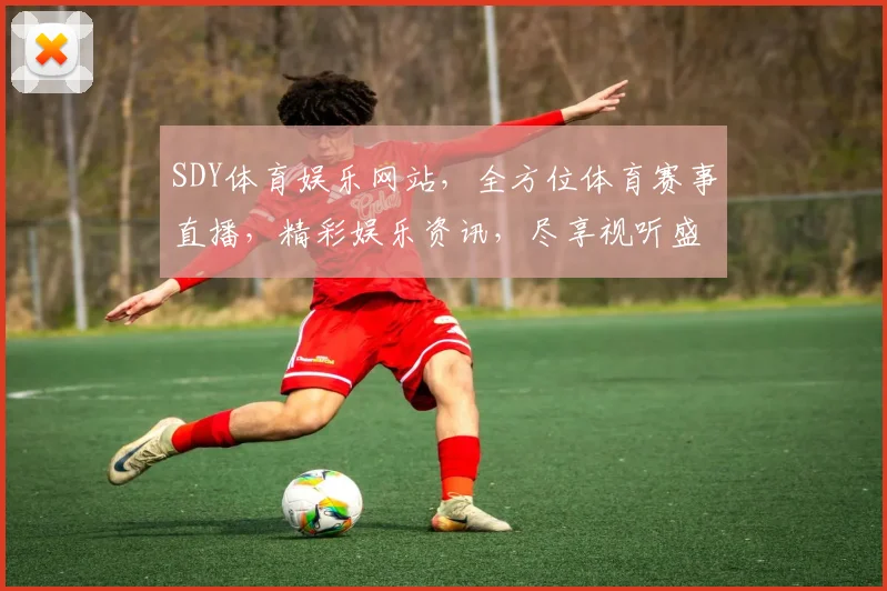 SDY体育娱乐网站，全方位体育赛事直播，精彩娱乐资讯，尽享视听盛宴，专业互动体验，一网打尽
