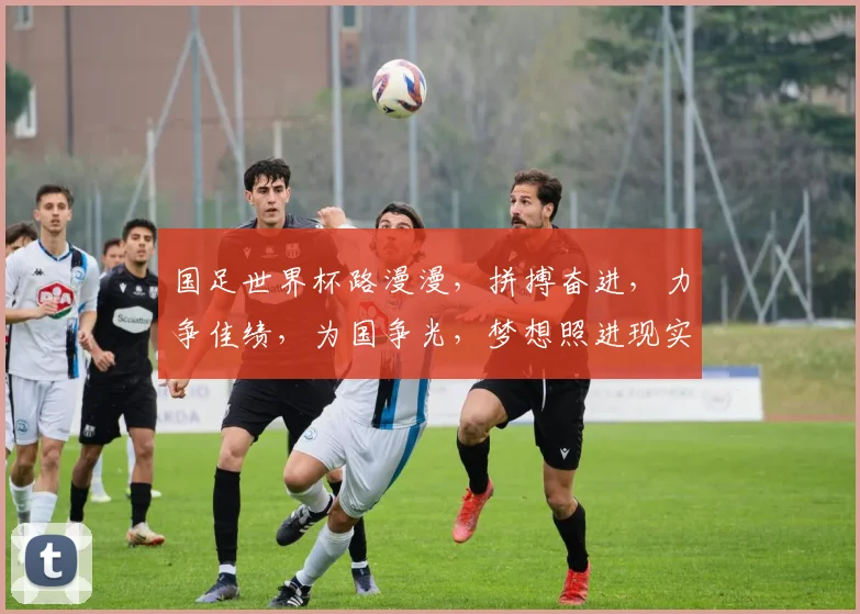 国足世界杯路漫漫，拼搏奋进，力争佳绩，为国争光，梦想照进现实