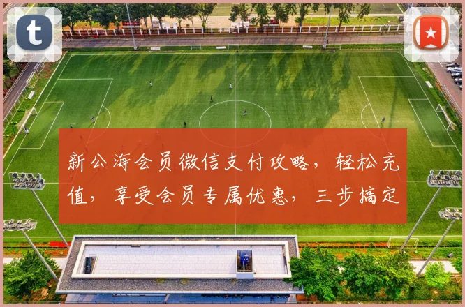 新公海会员微信支付攻略，轻松充值，享受会员专属优惠，三步搞定，快捷便利