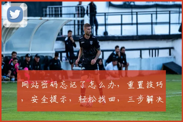网站密码忘记了怎么办，重置技巧，安全提示，轻松找回，三步解决