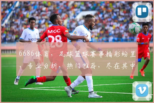 6686体育，足球篮球赛事精彩纷呈，专业分析，热门推荐，尽在其中，不容错过