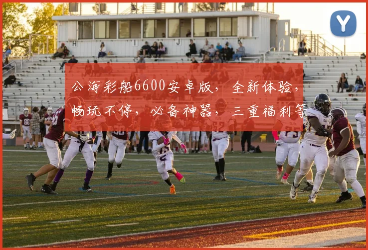 公海彩船6600安卓版，全新体验，畅玩不停，必备神器，三重福利等你来拿